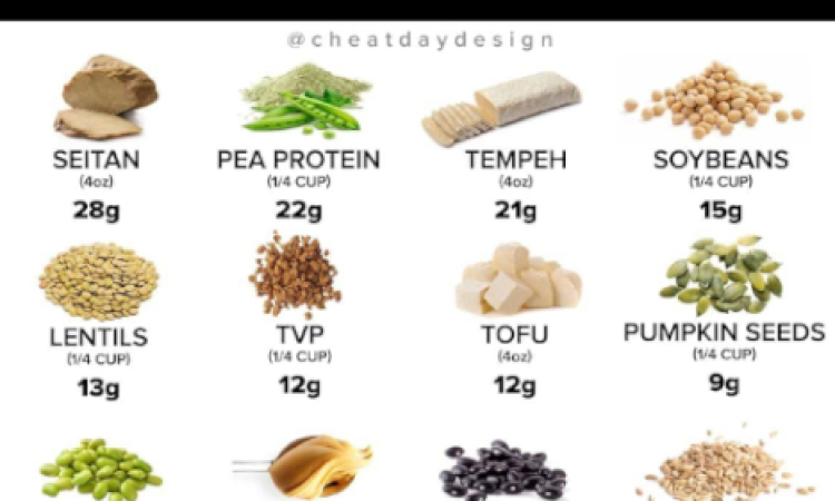 Top Sources of Vegan Protein