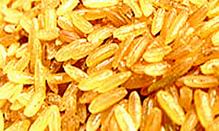Savory Brown Rice Pilaf