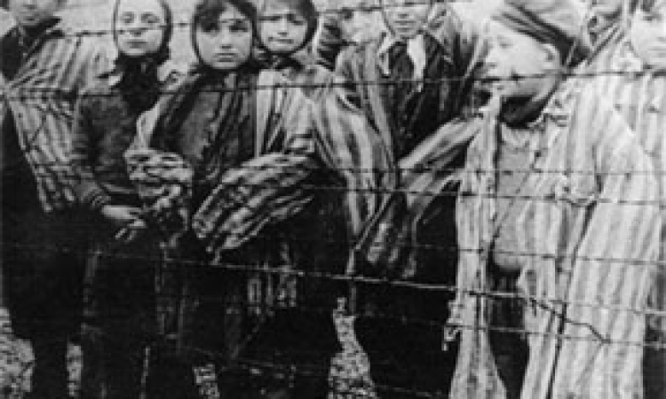 From Overseas Visitors, a Growing Demand to Study the Holocaust
