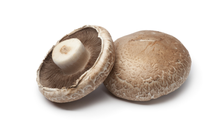 Portobello Mushroom Bake