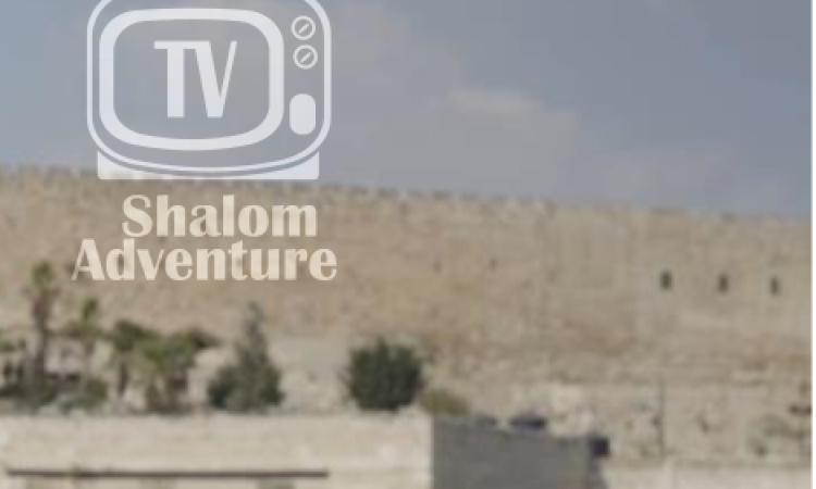 Jerusalem's City of David Explained