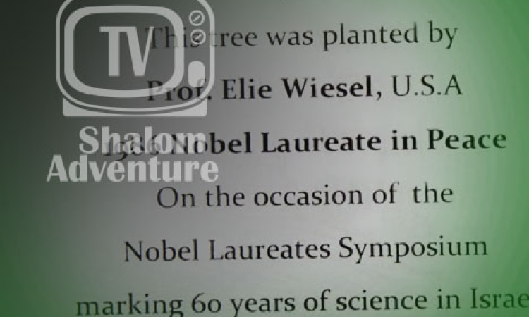 Technion Nobel Roots - Tu B'shvat in Israel