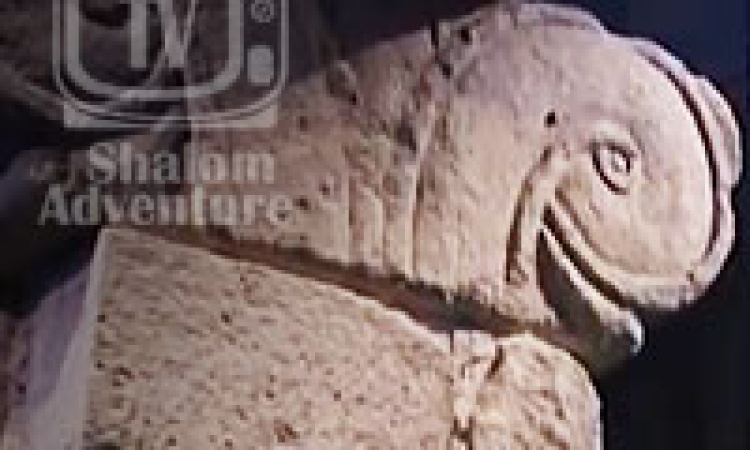 King Solomon's Wall Excavated