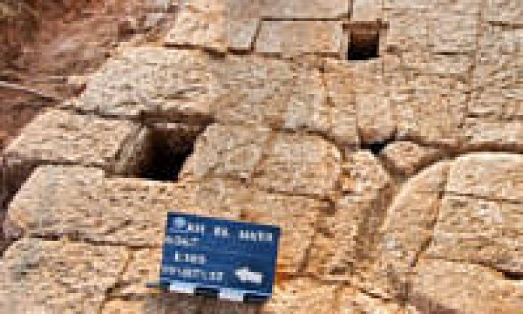 Unique 1300 Year Old Olive Oil Factory Unearthed in Tel Aviv Suburb 