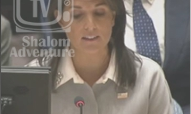 US Ambassador Nikki Haley Gets Tough at a Meeting of the UN Security Council