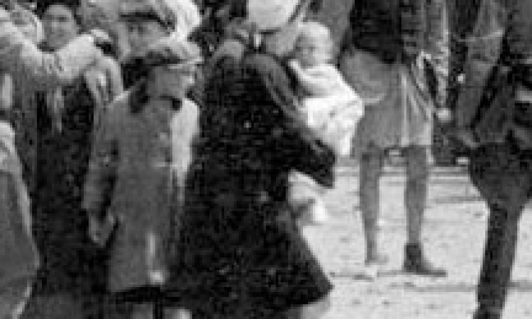 Children of the Holocaust