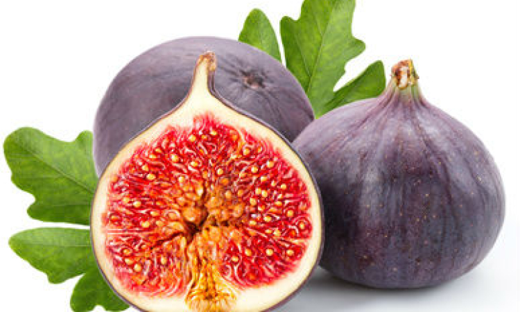 Israel, Figs, and Your Soul