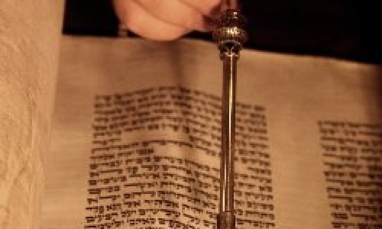 Parashat Matot
