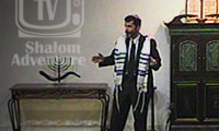 Rabbi Jeff Zaremsky's Sermon-Elijah, Raven, Widow,