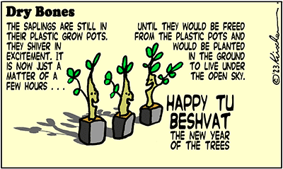 Cartoon-style drawing of tree seedlings smiling and celebrating Tu BeShvat (the Jewish New Year of the Trees).