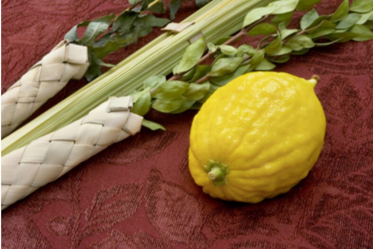 Remembering Sukkot