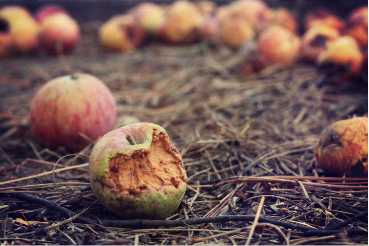 Strange Apples