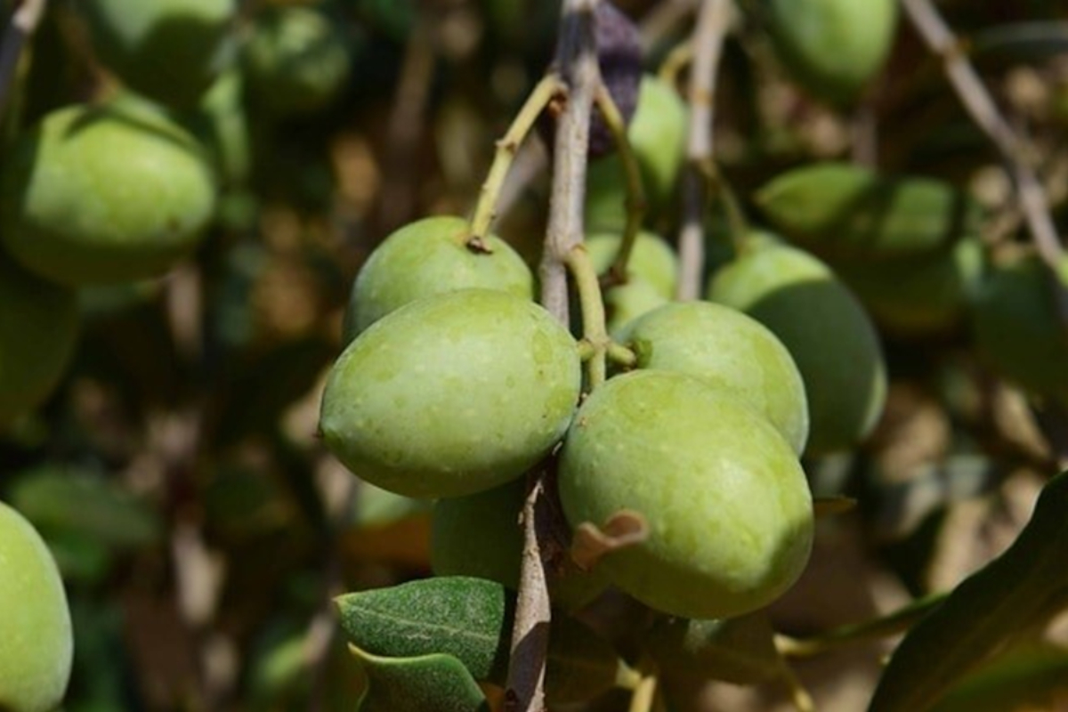 Cheshvan
