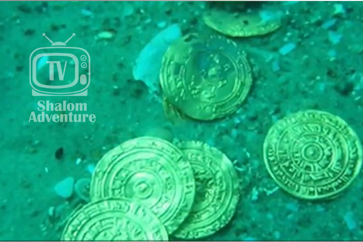 Divers Discover Ancient Treasure Trove in Shipwreck - Shalom Adventure ...