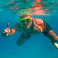 Snorkel or scuba in the Red Sea, Eilat