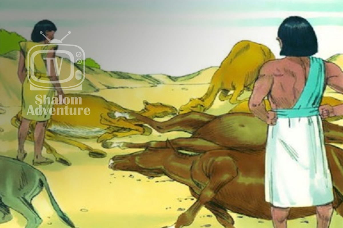 Exodus Chapter 9 Exodus 9 - 5th, 6th, & 7th Plagues - Shalom Adventure Magazine