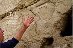 mysterious hand print