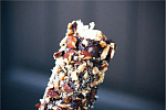 Frozen Banana Pops