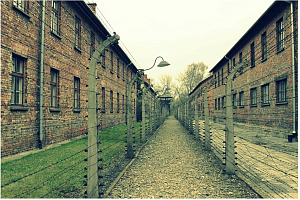 Concentration Camps