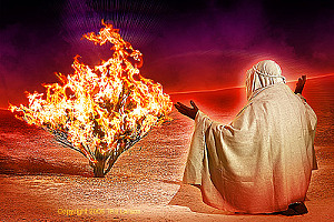 Torah - Caution