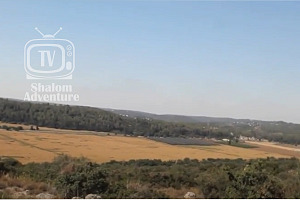 The Elah Valley