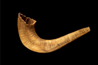 Sounding the Shofar