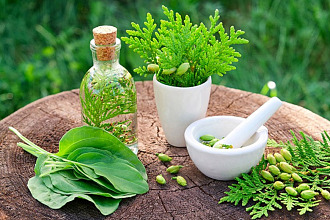 8 Plants Good for Healing Bumps, Bruises and Cuts
