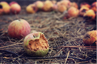 Strange Apples