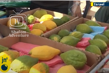 Celebrating Sukkot in Israel