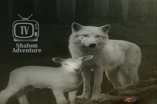 Isaiah 65: The Wolf and the Lamb Together