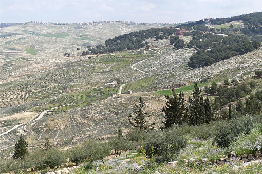 Parashat Reeh