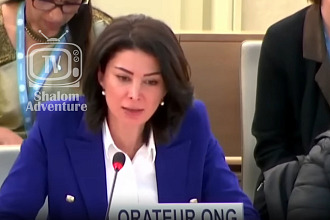 Syrian Activist to UN: 